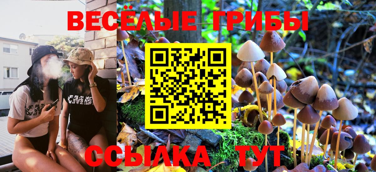 Гусиноозёрск  Псилоцибиновые грибы MAGIC MUSHROOMS  Вход с VPN 