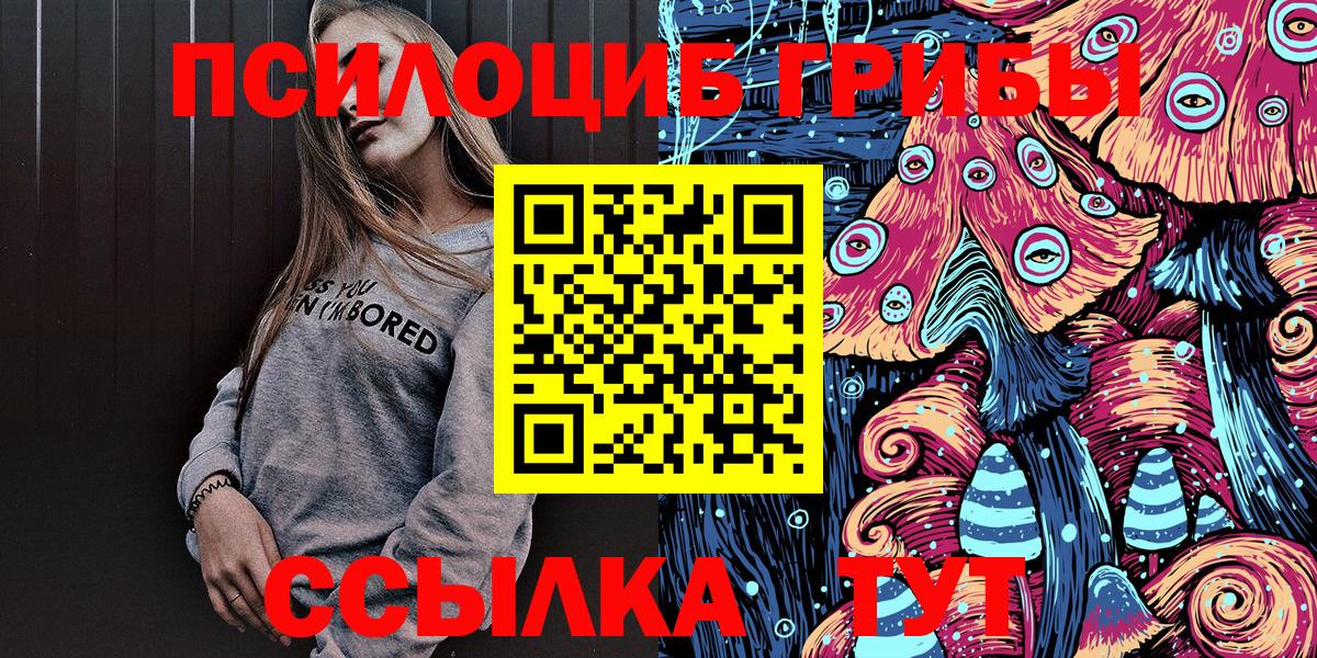 Галлюциногенные грибы Cubensis Гусиноозёрск